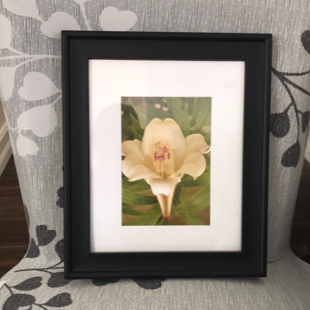 Framed flower print cream and green color